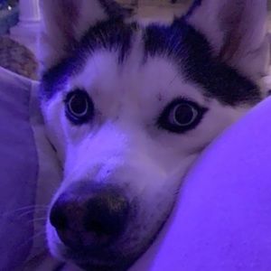 Meet your Posher, Lexie